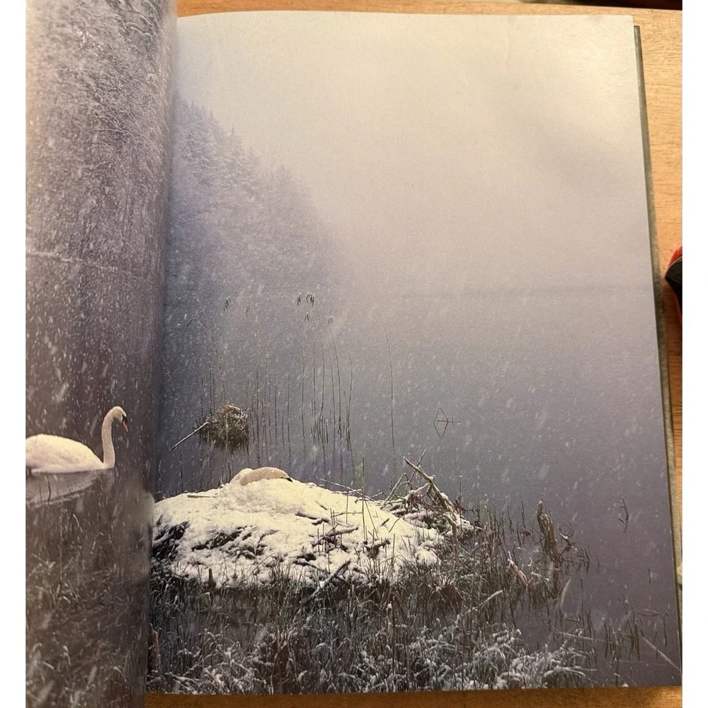Audubon Society Book of Water Birds 1987 Abrams‎ Les Line